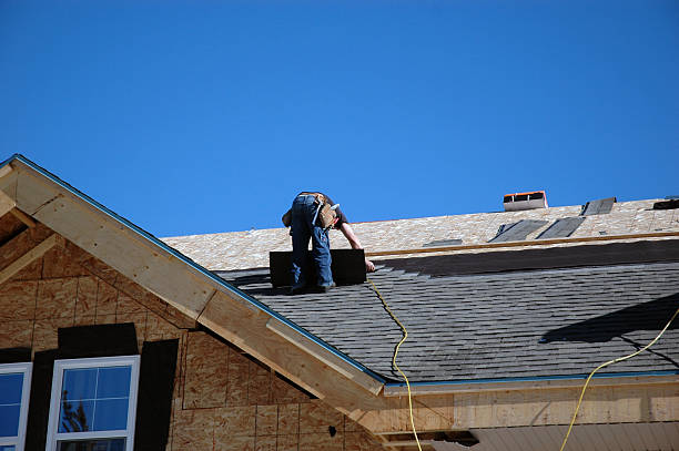 Roof Moss and Algae Removal in Lakeview, GA